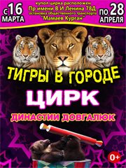 Тигры В Городе - Цирк Династии Довгалюк