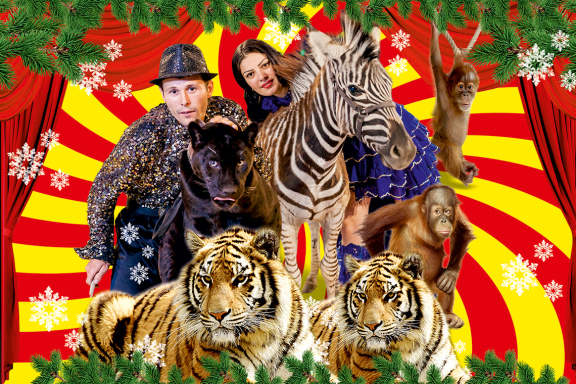 Ростовский цирк шапито. Арена Макао.