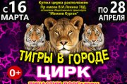 Тигры В Городе - Цирк Династии Довгалюк