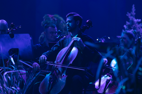 &Ocy;&rcy;&kcy;&iecy;&scy;&tcy;&rcy; CAGMO - &Scy;&icy;&mcy;&fcy;&ocy;&ncy;&icy;&yacy; &Kcy;&ocy;&rcy;&ocy;&lcy;&softcy; &icy; &SHcy;&ucy;&tcy; - &Dcy;&vcy;&ocy;&jcy;&ncy;&ocy;&jcy; &kcy;&ocy;&ncy;&tscy;&iecy;&rcy;&tcy; - &Vcy;&ocy;&lcy;&zhcy;&scy;&kcy;&icy;&jcy;