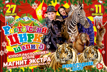 Ростовский цирк шапито. Арена Макао.