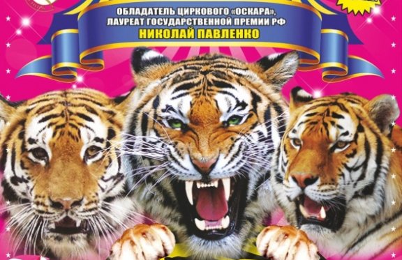 Королевские тигры суматры