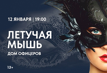 Летучая мышь