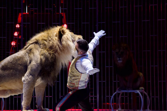 &SHcy;&ocy;&ucy; &fcy;&ocy;&ncy;&tcy;&acy;&ncy;&ocy;&vcy; &laquo;&Pcy;&rcy;&icy;&ncy;&tscy; &tscy;&icy;&rcy;&kcy;&acy;&raquo;