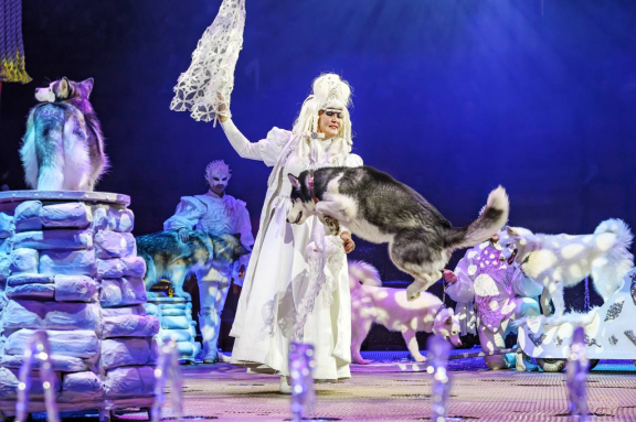 &SHcy;&ocy;&ucy; &fcy;&ocy;&ncy;&tcy;&acy;&ncy;&ocy;&vcy; &laquo;&Pcy;&rcy;&icy;&ncy;&tscy; &tscy;&icy;&rcy;&kcy;&acy;&raquo;