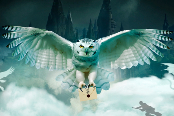 &Kcy;&ocy;&ncy;&tscy;&iecy;&rcy;&tcy; &laquo;&Gcy;&acy;&rcy;&rcy;&icy; &Pcy;&ocy;&tcy;&tcy;&iecy;&rcy;&period; &Ocy;&rcy;&kcy;&iecy;&scy;&tcy;&rcy; Sonorus&raquo; &lpar;&Scy;&ocy;&ncy;&ocy;&rcy;&ucy;&scy;&rpar;