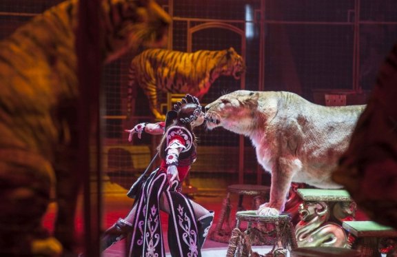 &Kcy;&ocy;&rcy;&ocy;&lcy;&iecy;&vcy;&scy;&kcy;&icy;&jcy; &tscy;&icy;&rcy;&kcy;