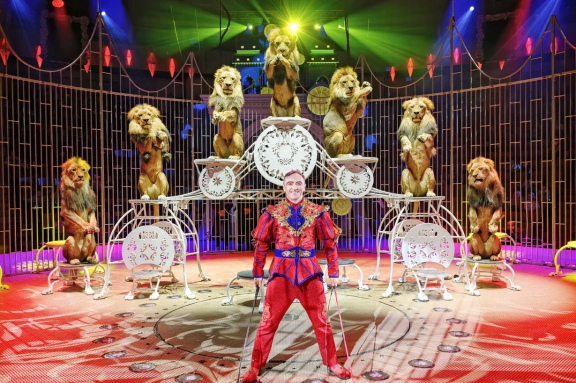 Королевство ледяных фонтанов «Сказка 13 месяцев»